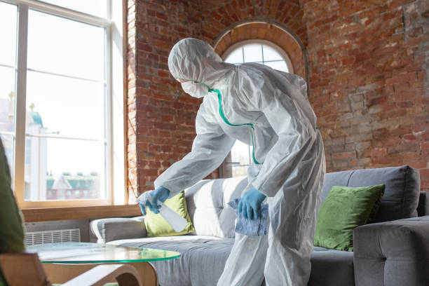 Best Black Mold Removal  in Cutchogue, NY